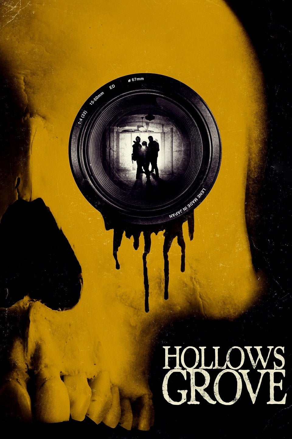 Постер Hollows Grove